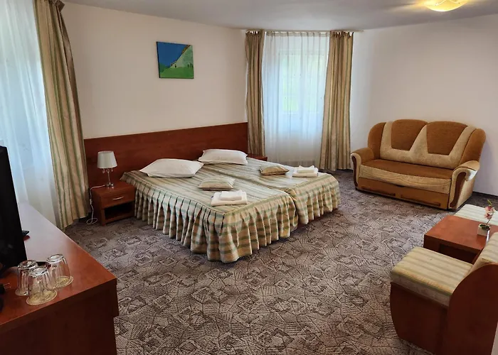 Casa Minerva Hotel Buşteni